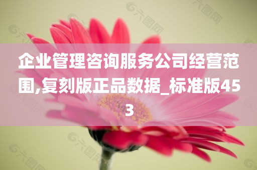 企业管理咨询服务公司经营范围,复刻版正品数据_标准版453