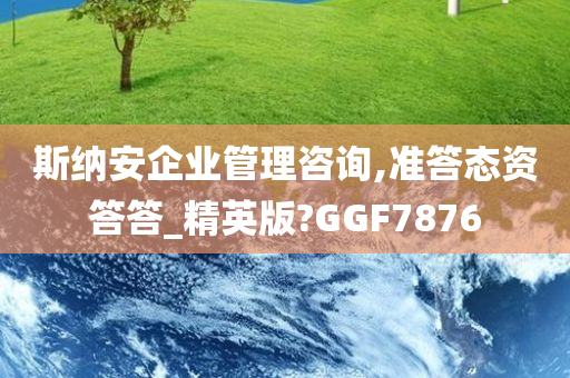 斯纳安企业管理咨询,准答态资答答_精英版?GGF7876