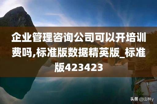 企业管理咨询公司可以开培训费吗,标准版数据精英版_标准版423423