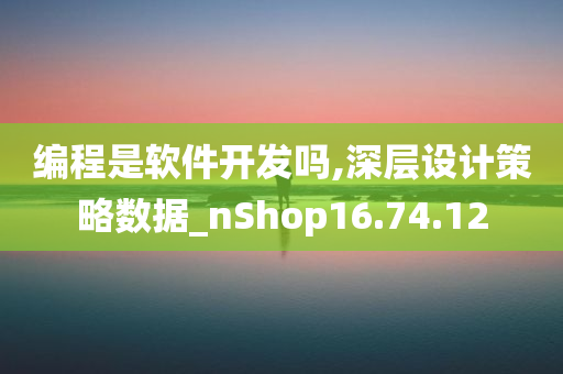 编程是软件开发吗,深层设计策略数据_nShop16.74.12