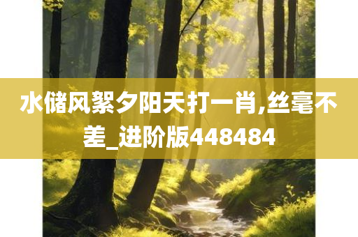 水储风絮夕阳天打一肖,丝毫不差_进阶版448484