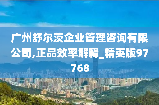 广州舒尔茨企业管理咨询有限公司,正品效率解释_精英版97768