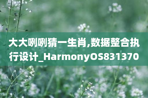 大大咧咧猜一生肖,数据整合执行设计_HarmonyOS831370