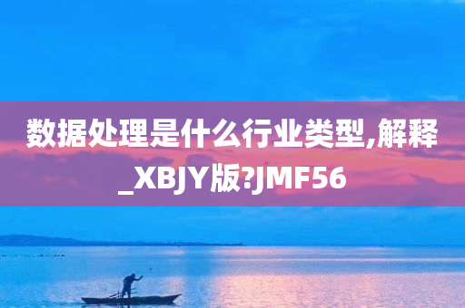 数据处理是什么行业类型,解释_XBJY版?JMF56