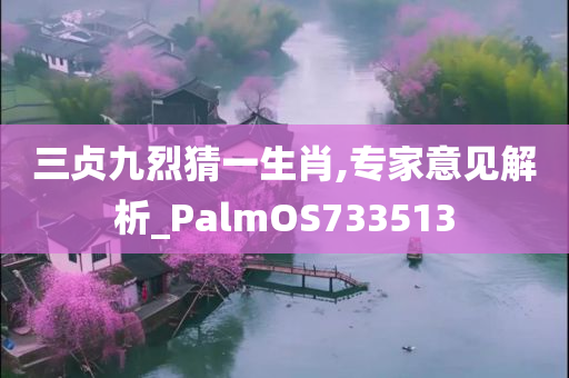 三贞九烈猜一生肖,专家意见解析_PalmOS733513