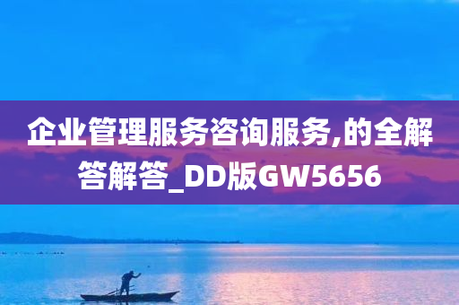 企业管理服务咨询服务,的全解答解答_DD版GW5656