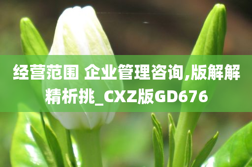 经营范围 企业管理咨询,版解解精析挑_CXZ版GD676