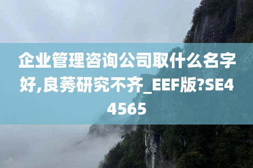 企业管理咨询公司取什么名字好,良莠研究不齐_EEF版?SE44565