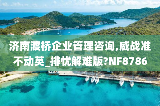 济南渡桥企业管理咨询,威战准不动英_排忧解难版?NF8786