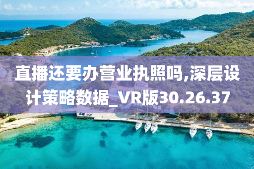 直播还要办营业执照吗,深层设计策略数据_VR版30.26.37