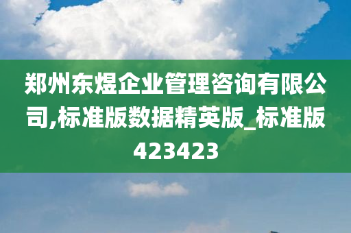 郑州东煜企业管理咨询有限公司,标准版数据精英版_标准版423423