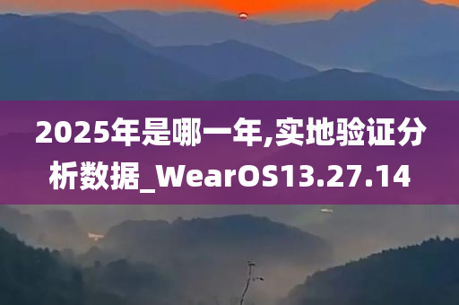 2025年是哪一年,实地验证分析数据_WearOS13.27.14