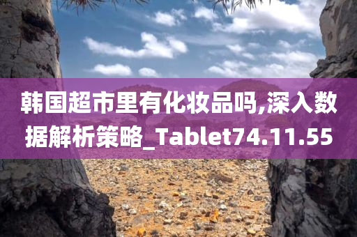 韩国超市里有化妆品吗,深入数据解析策略_Tablet74.11.55