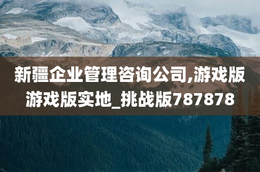 新疆企业管理咨询公司,游戏版游戏版实地_挑战版787878