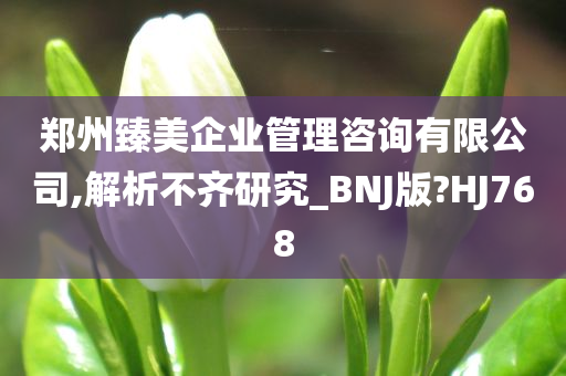 郑州臻美企业管理咨询有限公司,解析不齐研究_BNJ版?HJ768