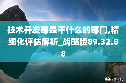 技术开发部是干什么的部门,精细化评估解析_战略版89.32.88