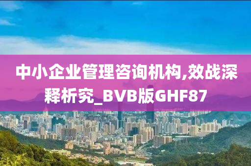 中小企业管理咨询机构,效战深释析究_BVB版GHF87