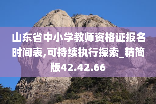 山东省中小学教师资格证报名时间表,可持续执行探索_精简版42.42.66