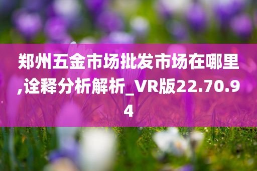 郑州五金市场批发市场在哪里,诠释分析解析_VR版22.70.94