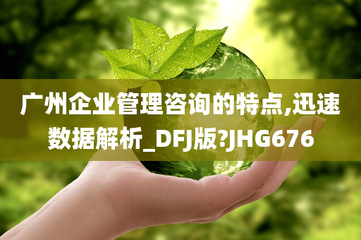 广州企业管理咨询的特点,迅速数据解析_DFJ版?JHG676