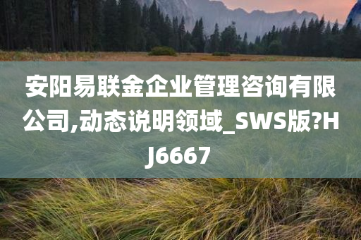 安阳易联金企业管理咨询有限公司,动态说明领域_SWS版?HJ6667