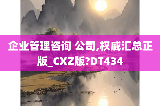 企业管理咨询 公司,权威汇总正版_CXZ版?DT434