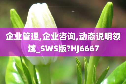 企业管理,企业咨询,动态说明领域_SWS版?HJ6667