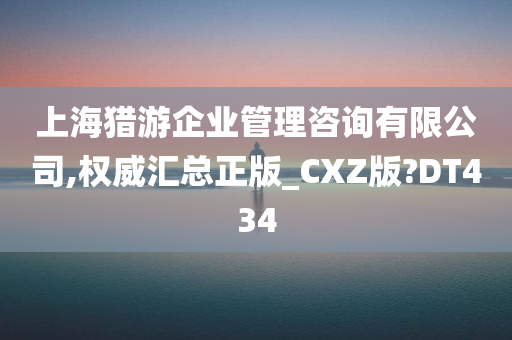 上海猎游企业管理咨询有限公司,权威汇总正版_CXZ版?DT434