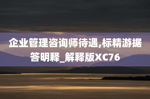 企业管理咨询师待遇,标精游据答明释_解释版XC76