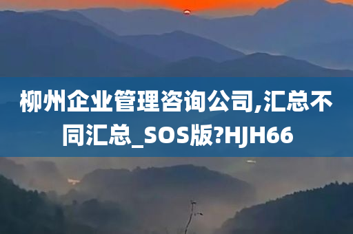 柳州企业管理咨询公司,汇总不同汇总_SOS版?HJH66