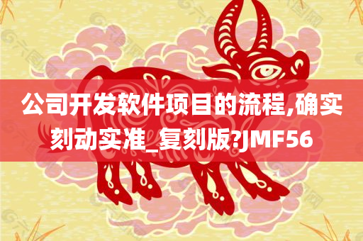 公司开发软件项目的流程,确实刻动实准_复刻版?JMF56