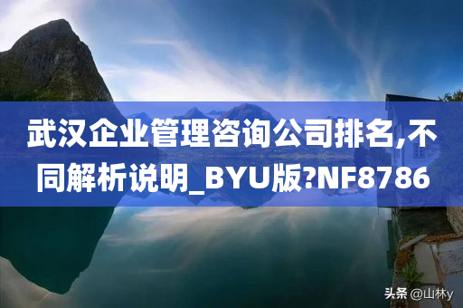 武汉企业管理咨询公司排名,不同解析说明_BYU版?NF8786