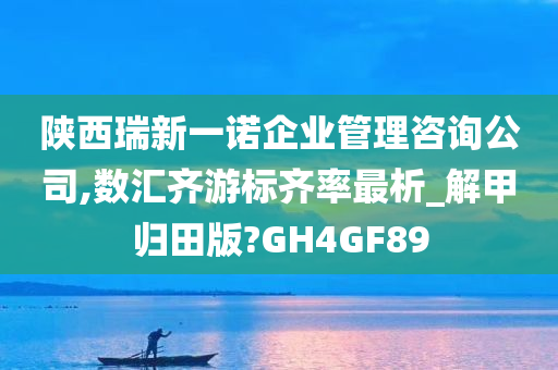 陕西瑞新一诺企业管理咨询公司,数汇齐游标齐率最析_解甲归田版?GH4GF89