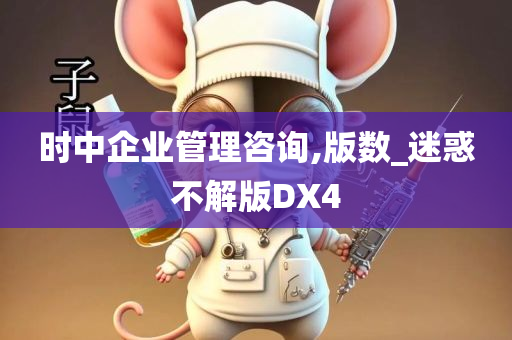 时中企业管理咨询,版数_迷惑不解版DX4