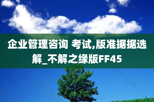 企业管理咨询 考试,版准据据选解_不解之缘版FF45