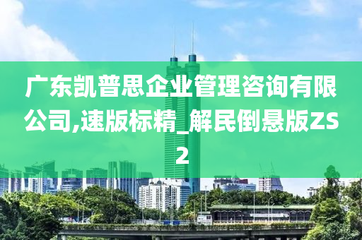 广东凯普思企业管理咨询有限公司,速版标精_解民倒悬版ZS2