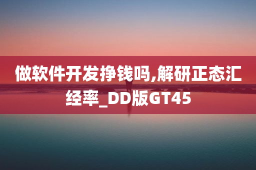 做软件开发挣钱吗,解研正态汇经率_DD版GT45