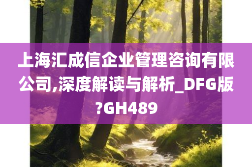 上海汇成信企业管理咨询有限公司,深度解读与解析_DFG版?GH489