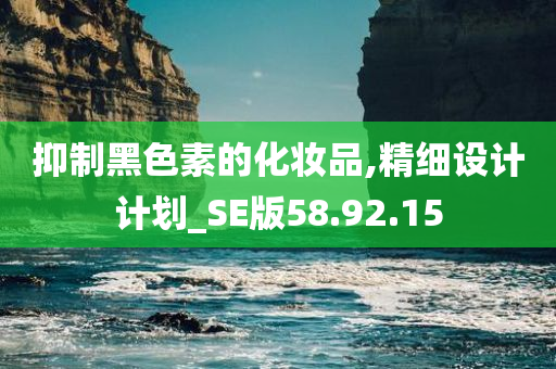 抑制黑色素的化妆品,精细设计计划_SE版58.92.15