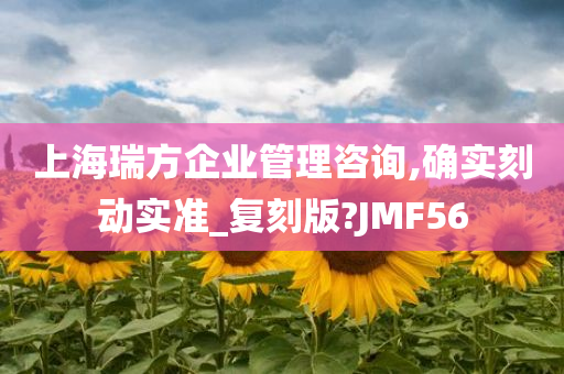 上海瑞方企业管理咨询,确实刻动实准_复刻版?JMF56