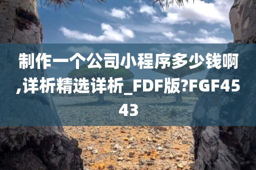 制作一个公司小程序多少钱啊,详析精选详析_FDF版?FGF4543