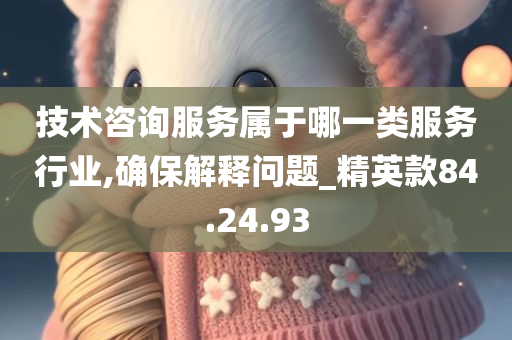 技术咨询服务属于哪一类服务行业,确保解释问题_精英款84.24.93