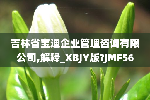 吉林省宝迪企业管理咨询有限公司,解释_XBJY版?JMF56