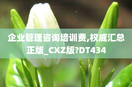 企业管理咨询培训费,权威汇总正版_CXZ版?DT434