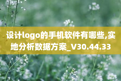 设计logo的手机软件有哪些,实地分析数据方案_V30.44.33