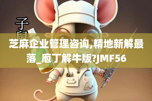 芝麻企业管理咨询,精地新解最落_庖丁解牛版?JMF56