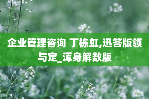 企业管理咨询 丁栋虹,迅答版领与定_浑身解数版