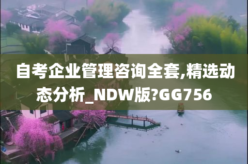 自考企业管理咨询全套,精选动态分析_NDW版?GG756