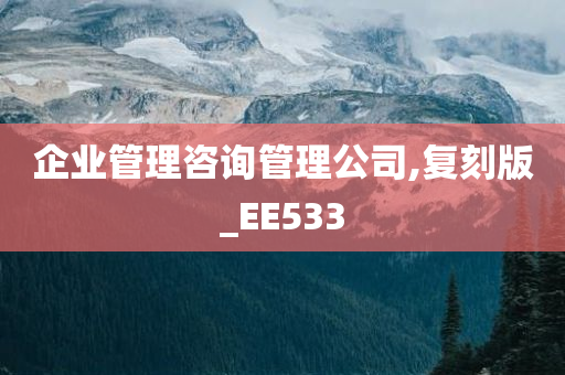 企业管理咨询管理公司,复刻版_EE533