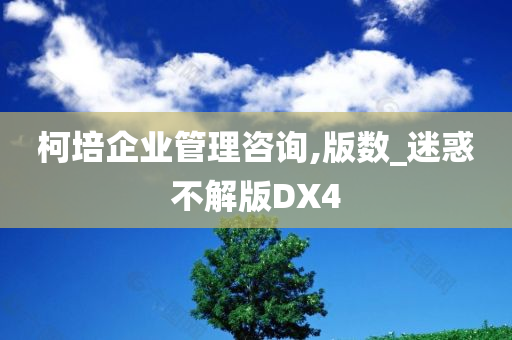 柯培企业管理咨询,版数_迷惑不解版DX4